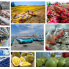 Việt Nam 80 năm: Bệ phóng nào cho kinh tế tư nhân?