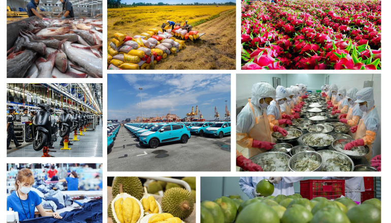 Việt Nam 80 năm: Bệ phóng nào cho kinh tế tư nhân?