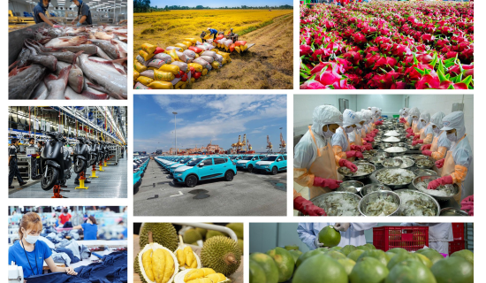 Việt Nam 80 năm: Bệ phóng nào cho kinh tế tư nhân?