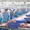 Vietnam’s seafood exports earn $2.64bln in Q1