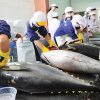 Vietnam’s seafood exports earn $3.3 billion in 4M