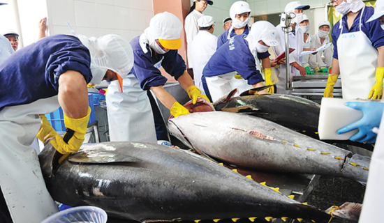 Vietnam’s seafood exports earn $3.3 billion in 4M