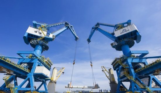 Endogenous drivers for the economy